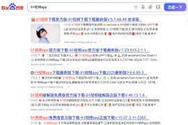 小旋风下载站群日收秒排泛程序-不限行业